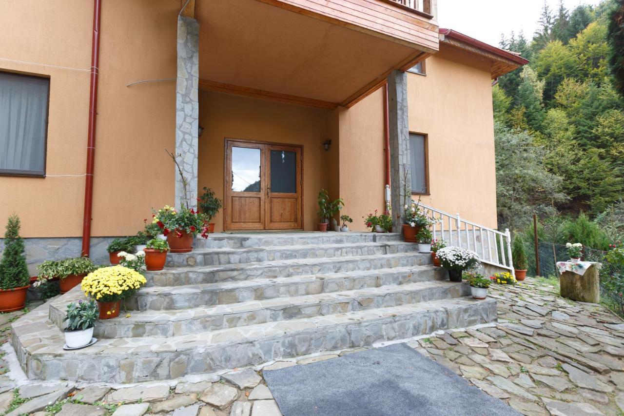 Pensiunea Casoca-Cascada Siriu Bagian luar foto